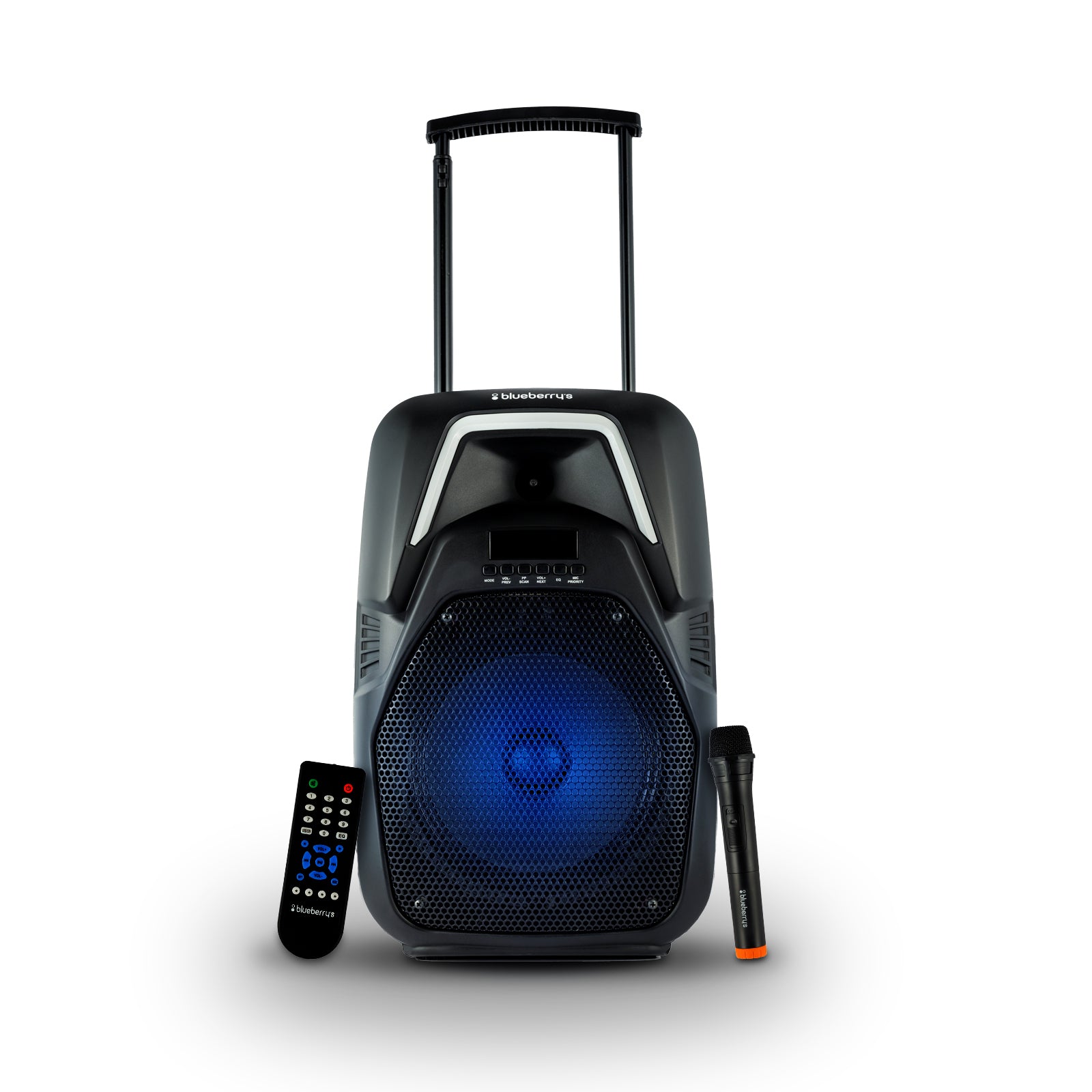 Blueberry's 40-Watts Trolly Speaker – blueberry's