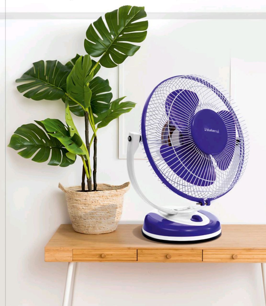Table fans – Blueberry's