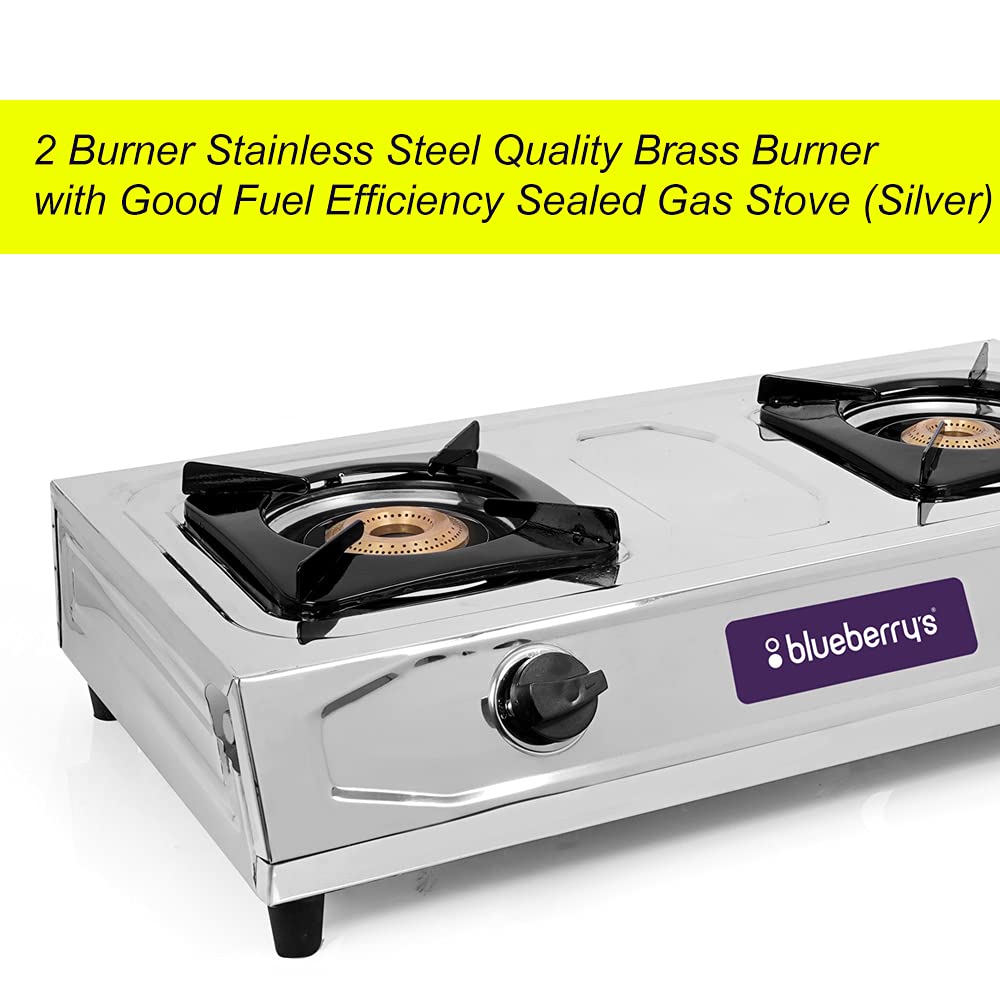 Blueberry's BLAZE 2 Burner  Stainless Steel Gas Stove