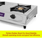 Blueberry's BLAZE 2 Burner  Stainless Steel Gas Stove