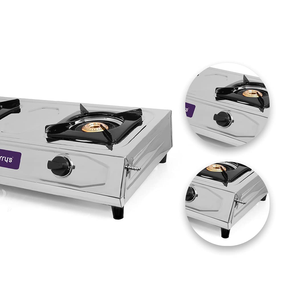 Blueberry's BLAZE 2 Burner  Stainless Steel Gas Stove