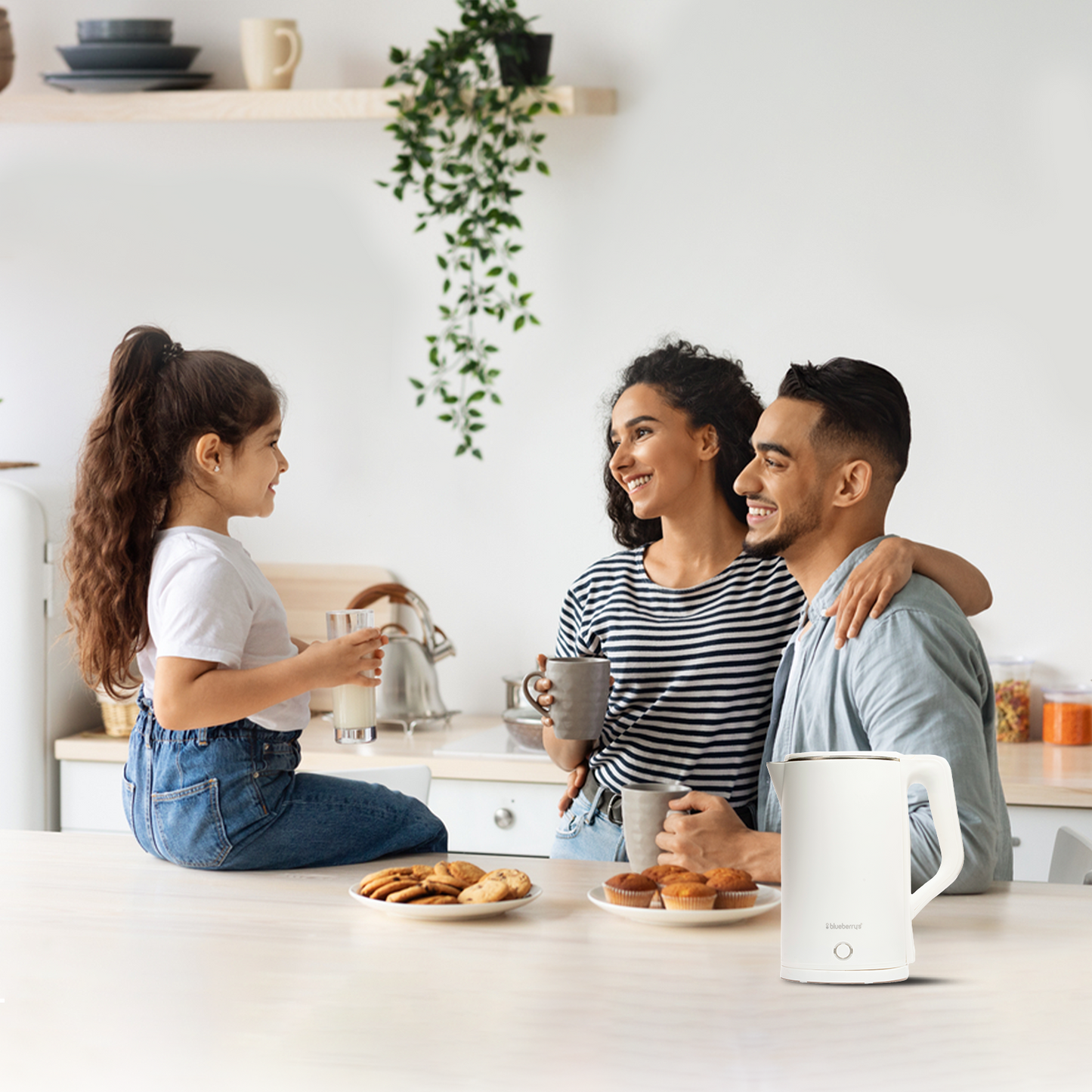 Blueberry's Stainless Steel 2-Liter 1500-Watts Electric Kettle