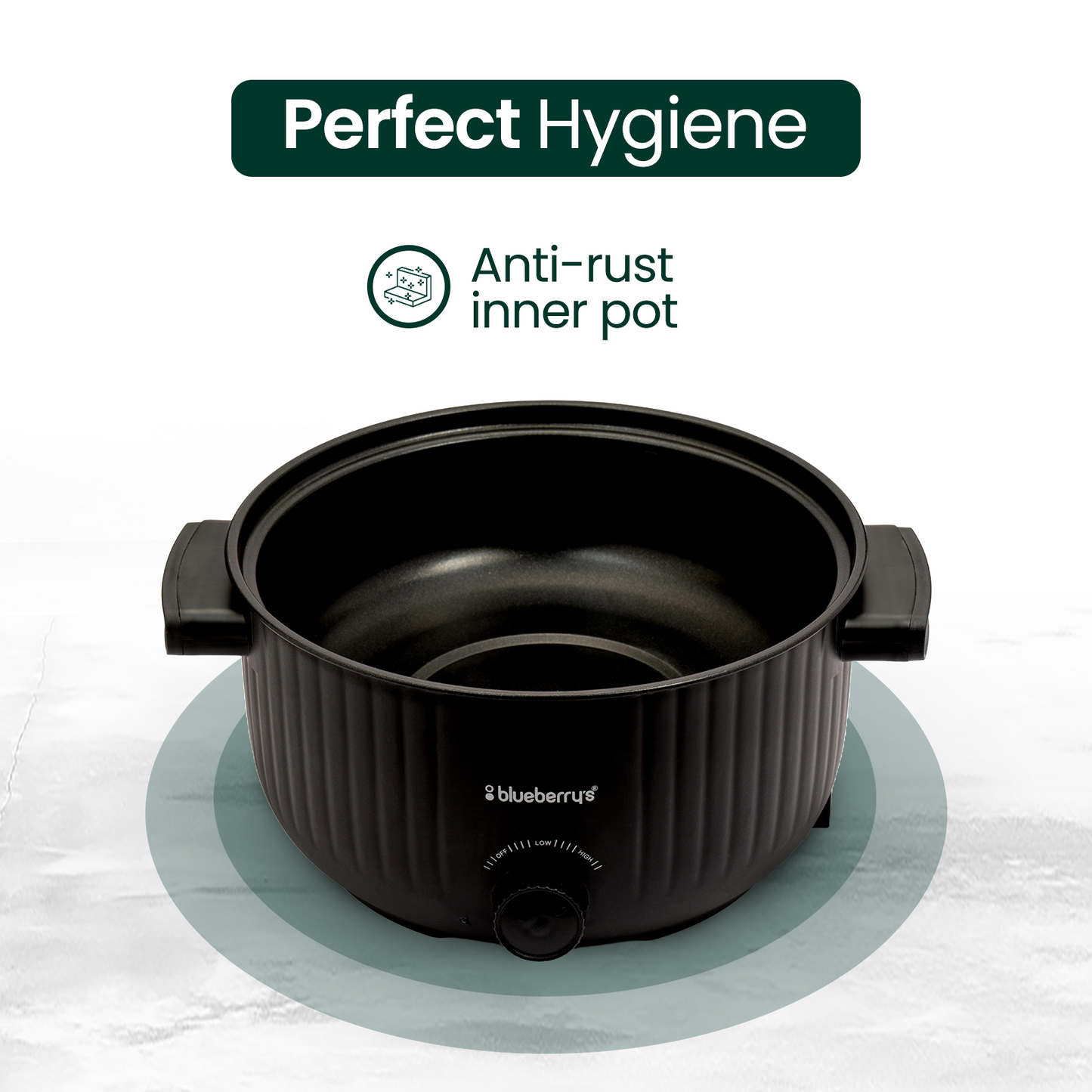 Blueberry's 3-Liter 1000-Watts Multi-Purpose Electric Cooking Pot Kettle