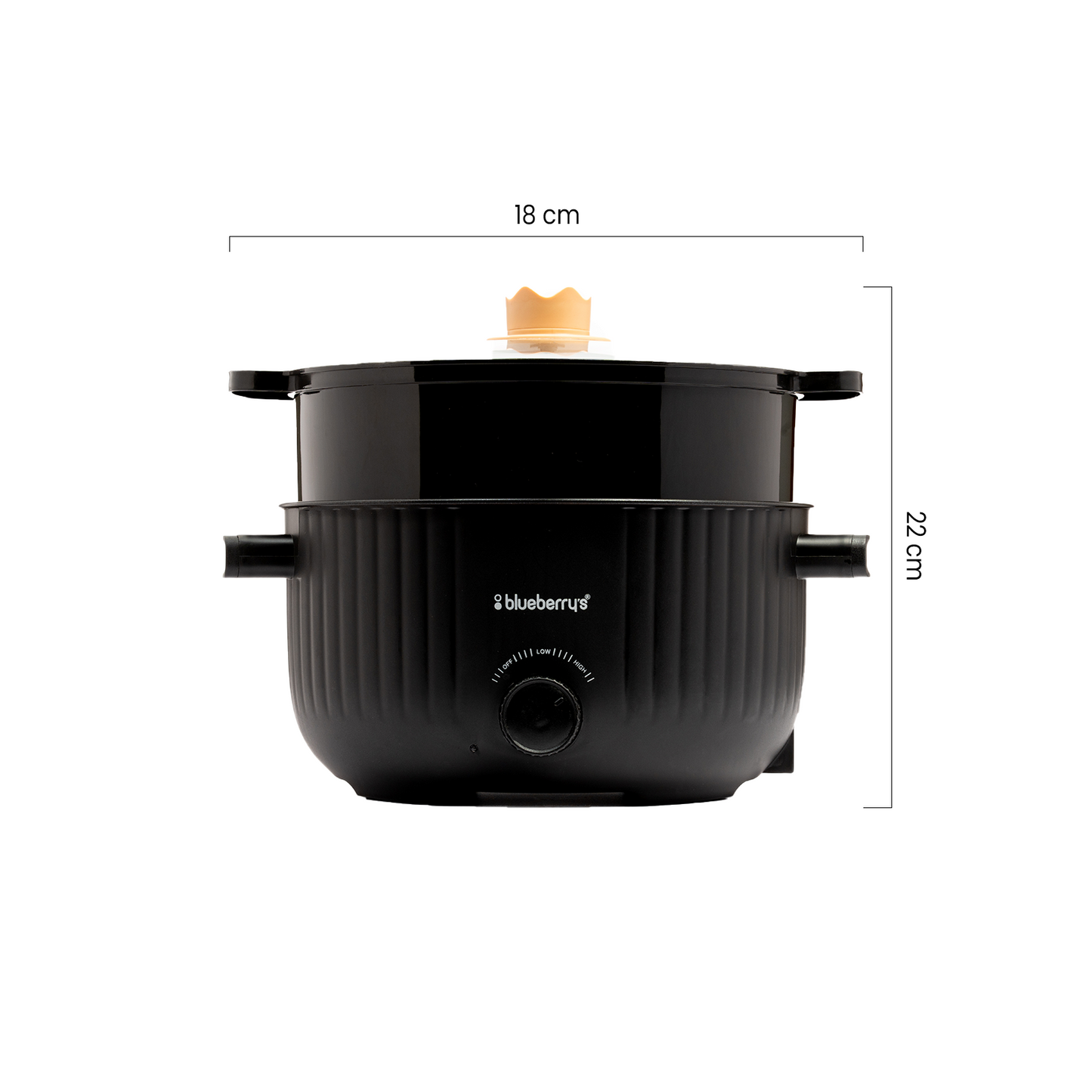 Blueberry's 3-Liter 1000-Watts Multi-Purpose Electric Cooking Pot Kettle