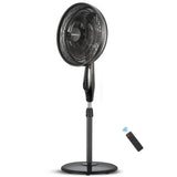Blueberry's 35-Watts BLDC Pedestal Fan