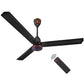 Blueberry's 1200mm BLDC Ceiling Fan with Remote Control, BEE 5-Star Rated