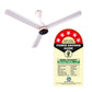 Blueberry's 1200mm BLDC Ceiling Fan with Remote Control, BEE 5-Star Rated