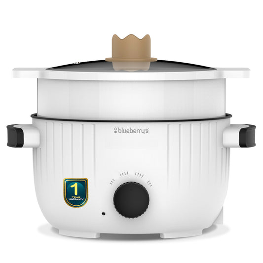Blueberry's 3-Liter Multi-Purpose Electric Cooking Pot Kettle