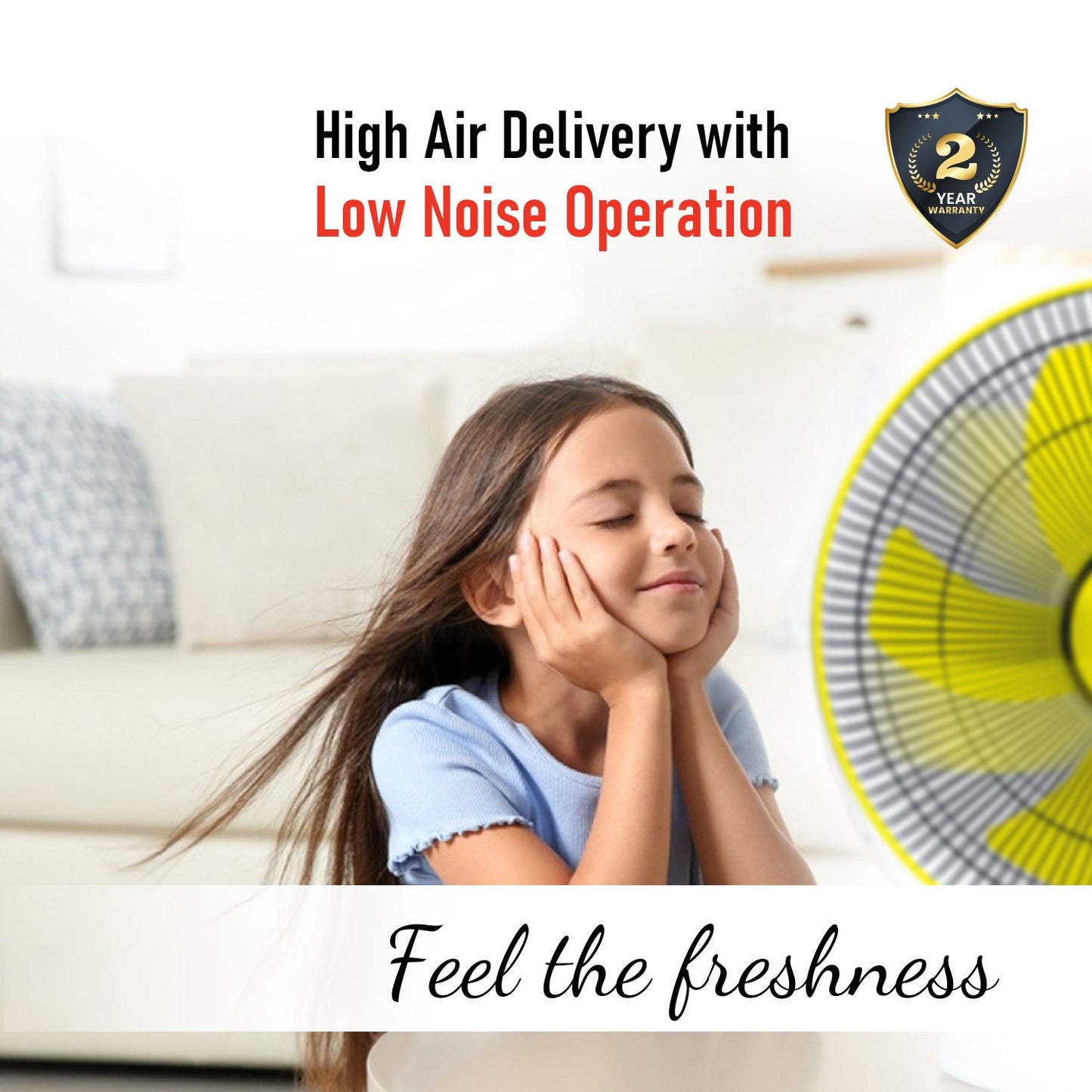 Blueberry's High Speed 16" 55-Watts Pedestal Fan