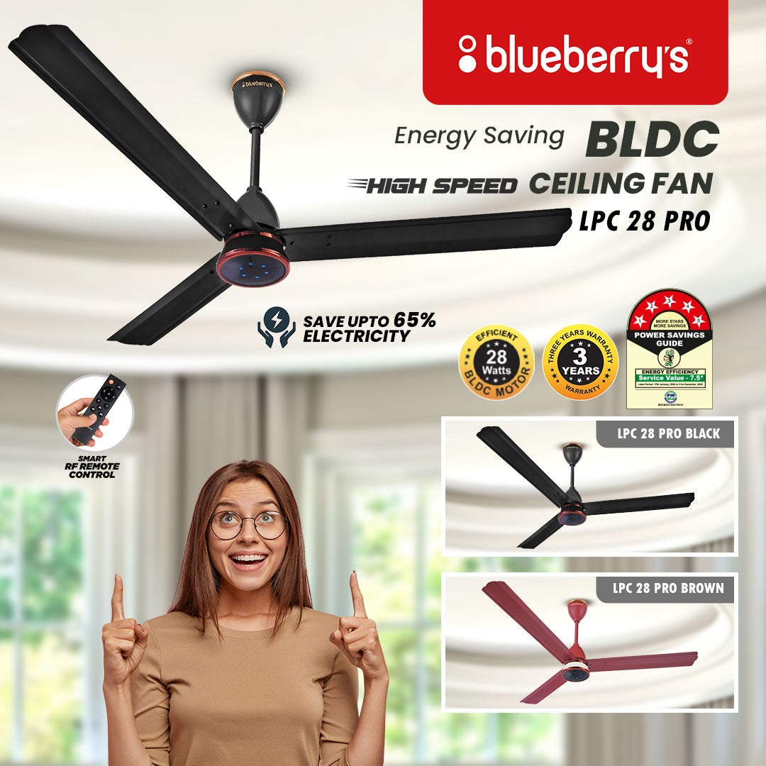 Blueberry's 1200mm BLDC Ceiling Fan with Remote Control, BEE 5-Star Rated