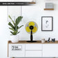 Blueberry's 16" 2IN1 Pedestal Fan