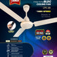 Blueberry's 1200mm BLDC Ceiling Fan with Remote Control, BEE 5-Star Rated
