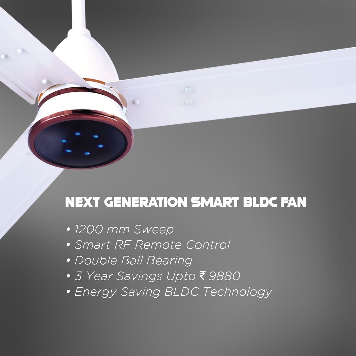 Blueberry's 1200mm BLDC Ceiling Fan with Remote Control, BEE 5-Star Rated