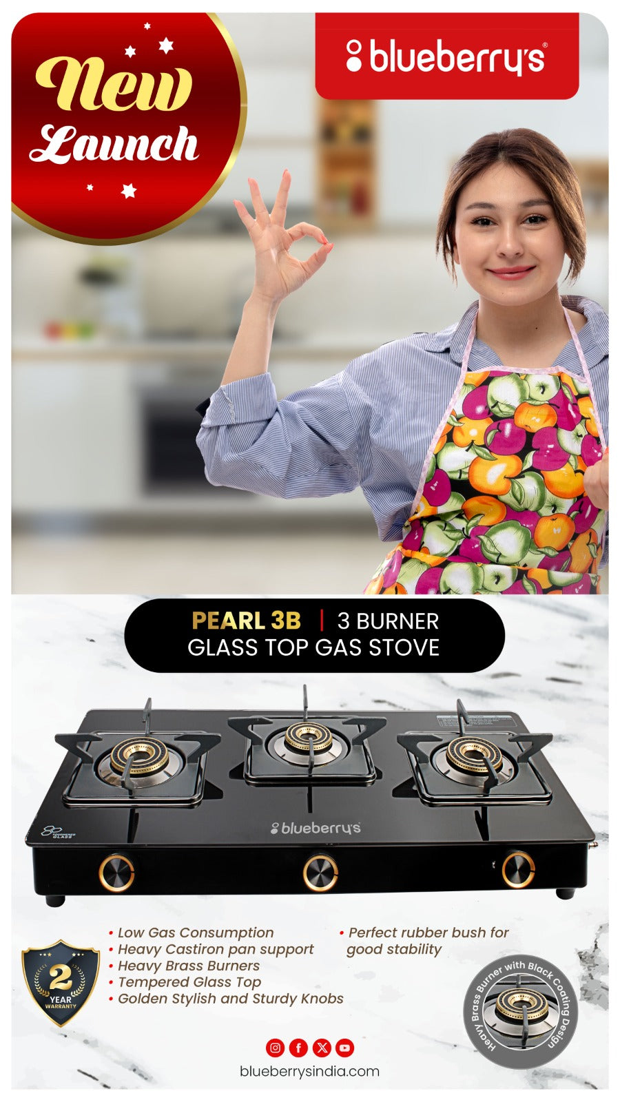 Blueberry's Premium 3-Burner Glass Top Gas Stove