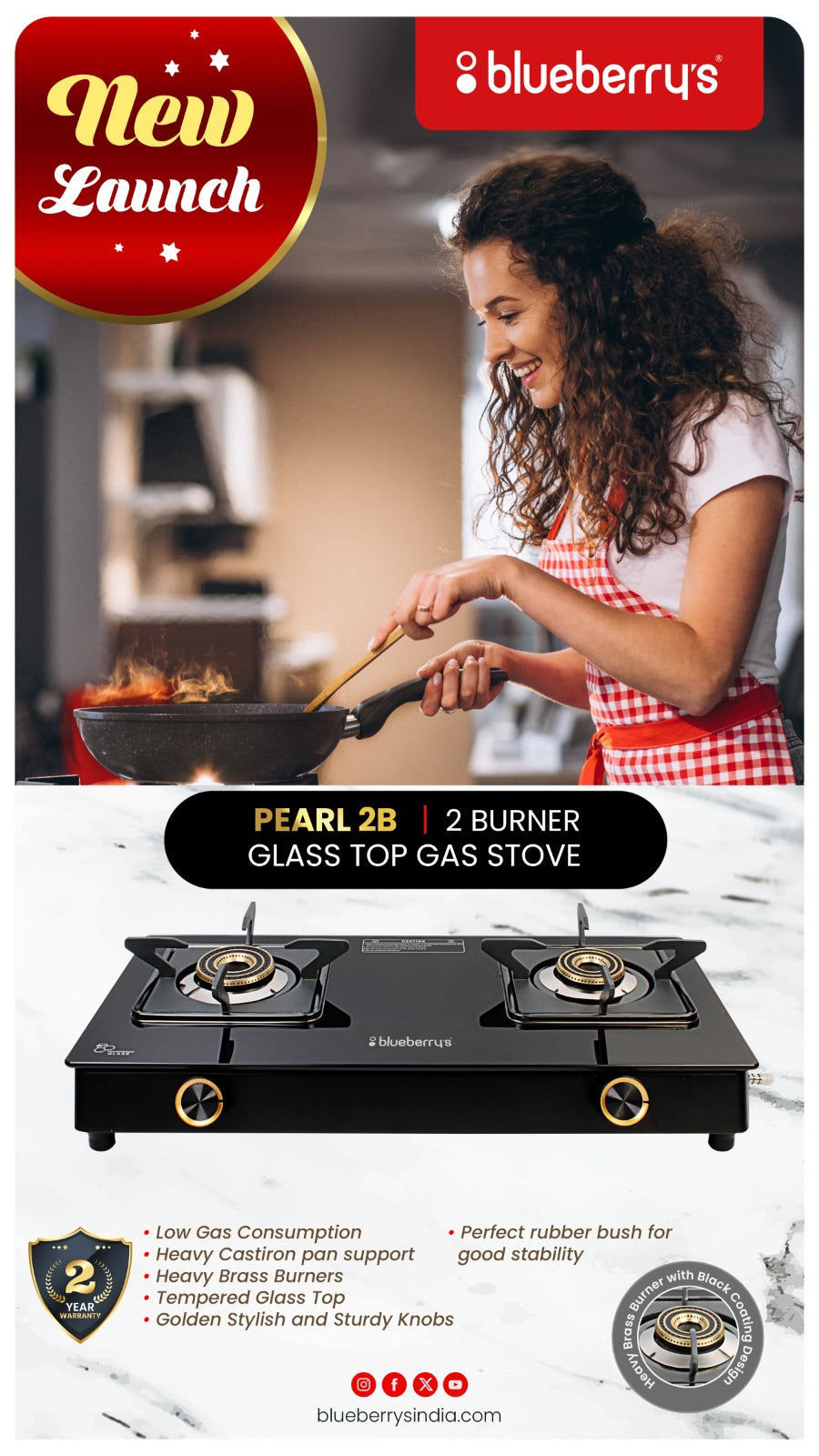 Blueberry's Premium 2-Burner Glass Top Gas Stove
