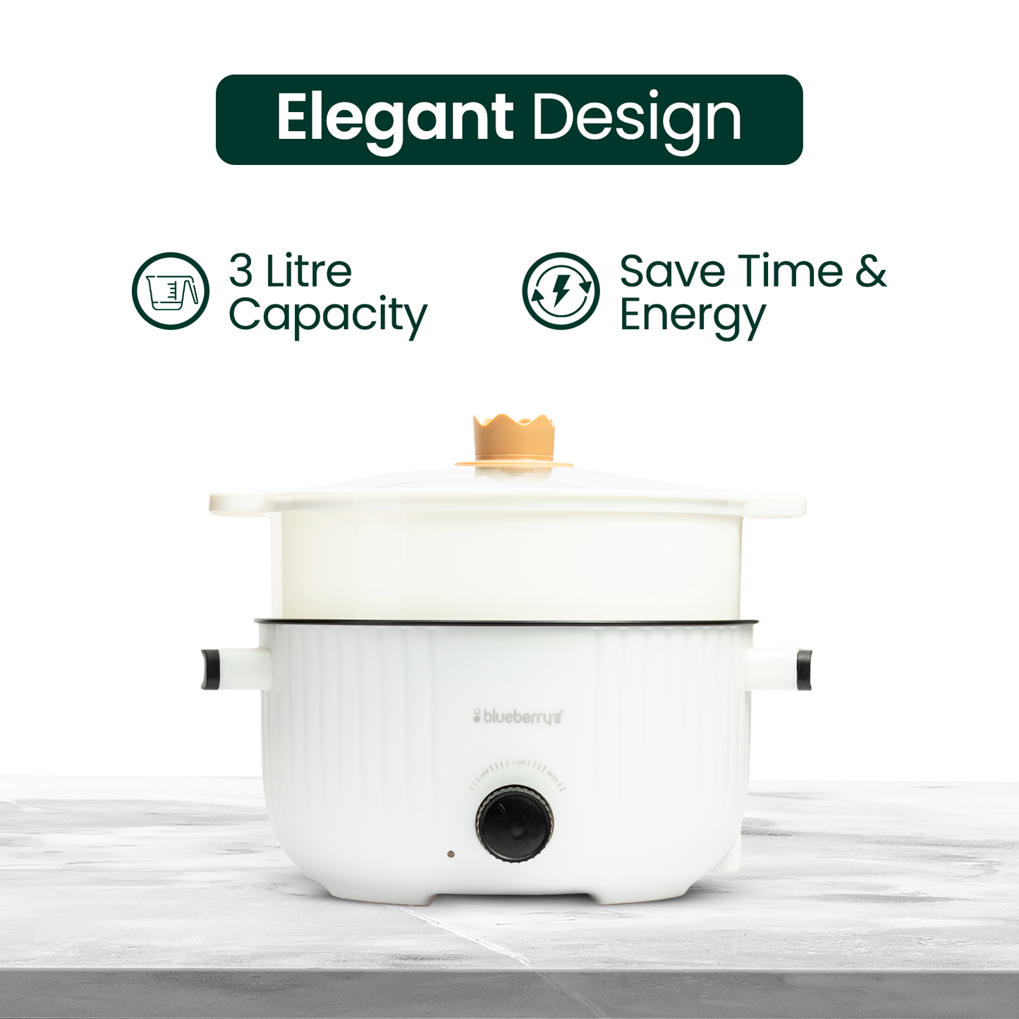 Blueberry's 3-Liter Multi-Purpose Electric Cooking Pot Kettle