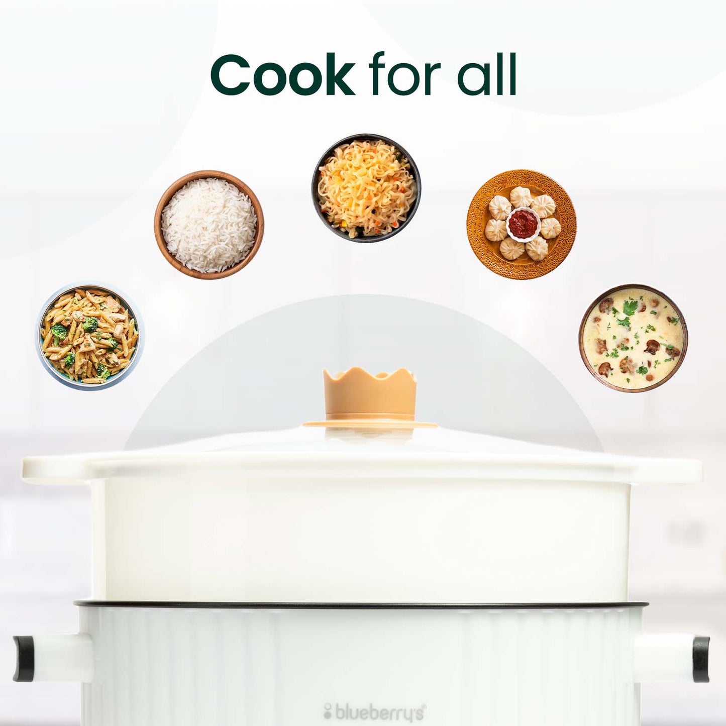 Blueberry's 3-Liter Multi-Purpose Electric Cooking Pot Kettle