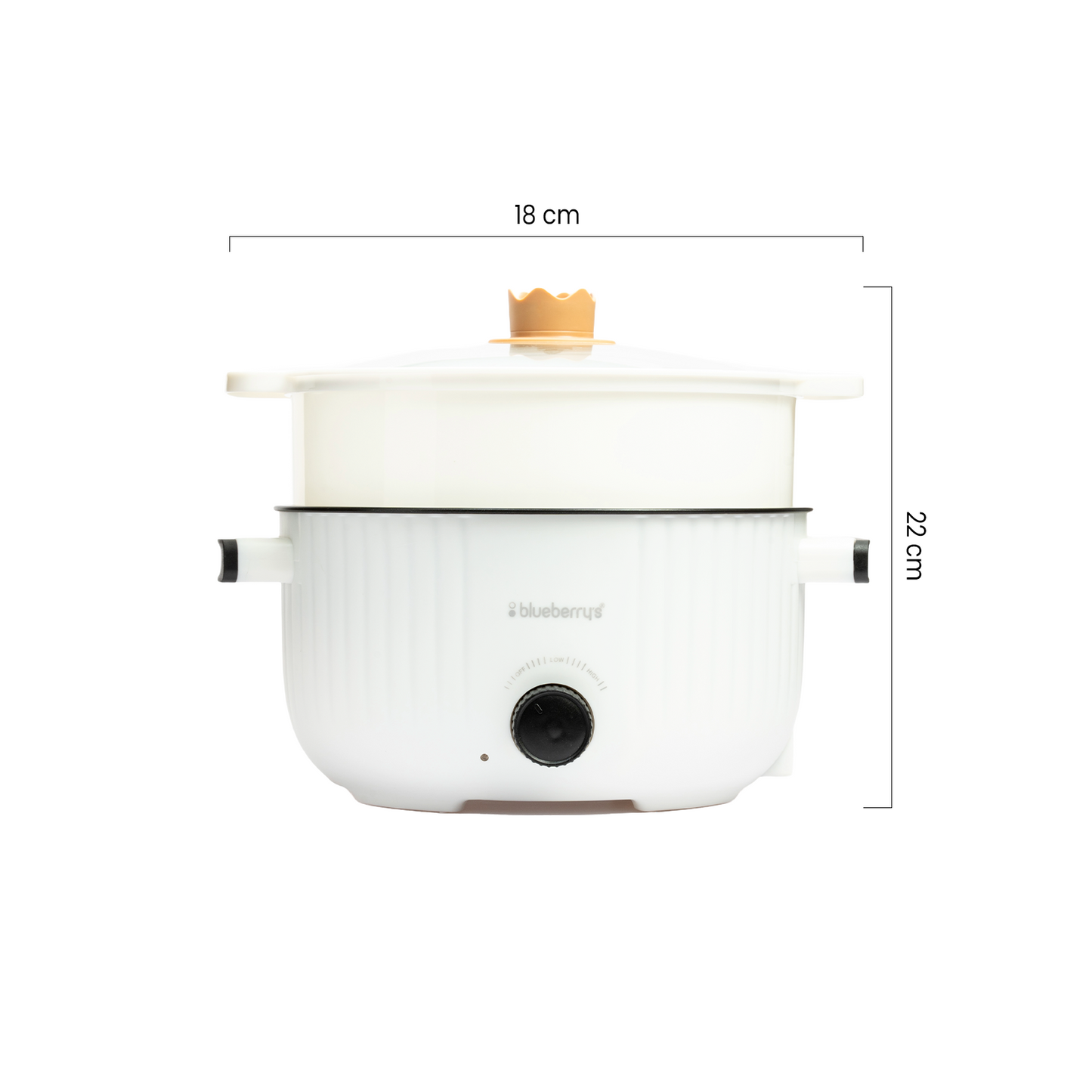 Blueberry's 3-Liter Multi-Purpose Electric Cooking Pot Kettle