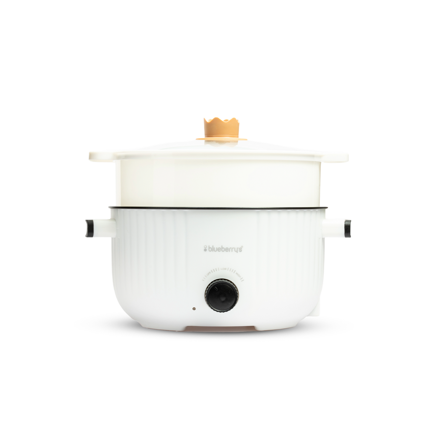 Blueberry's 3-Liter Multi-Purpose Electric Cooking Pot Kettle