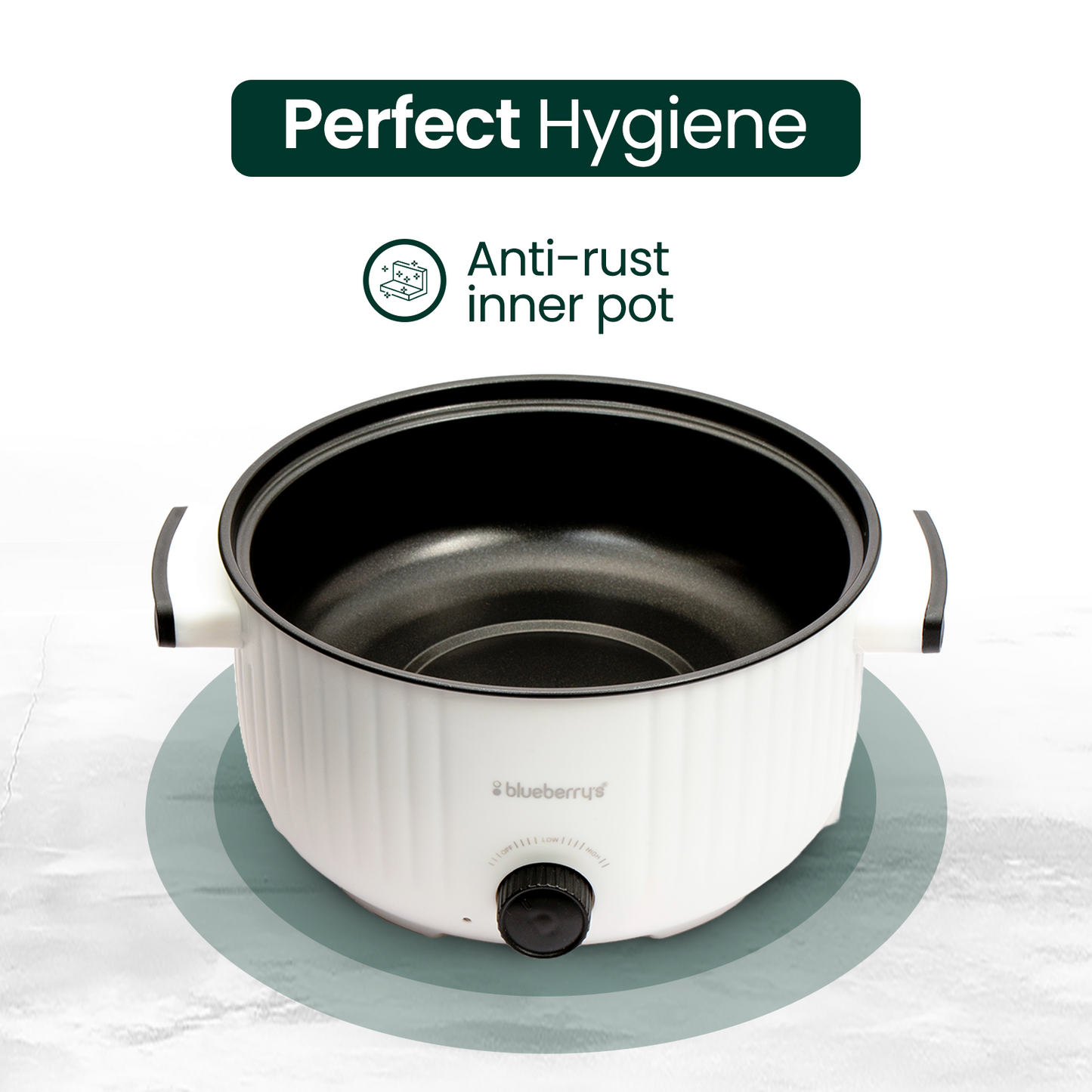 Blueberry's 3-Liter Multi-Purpose Electric Cooking Pot Kettle