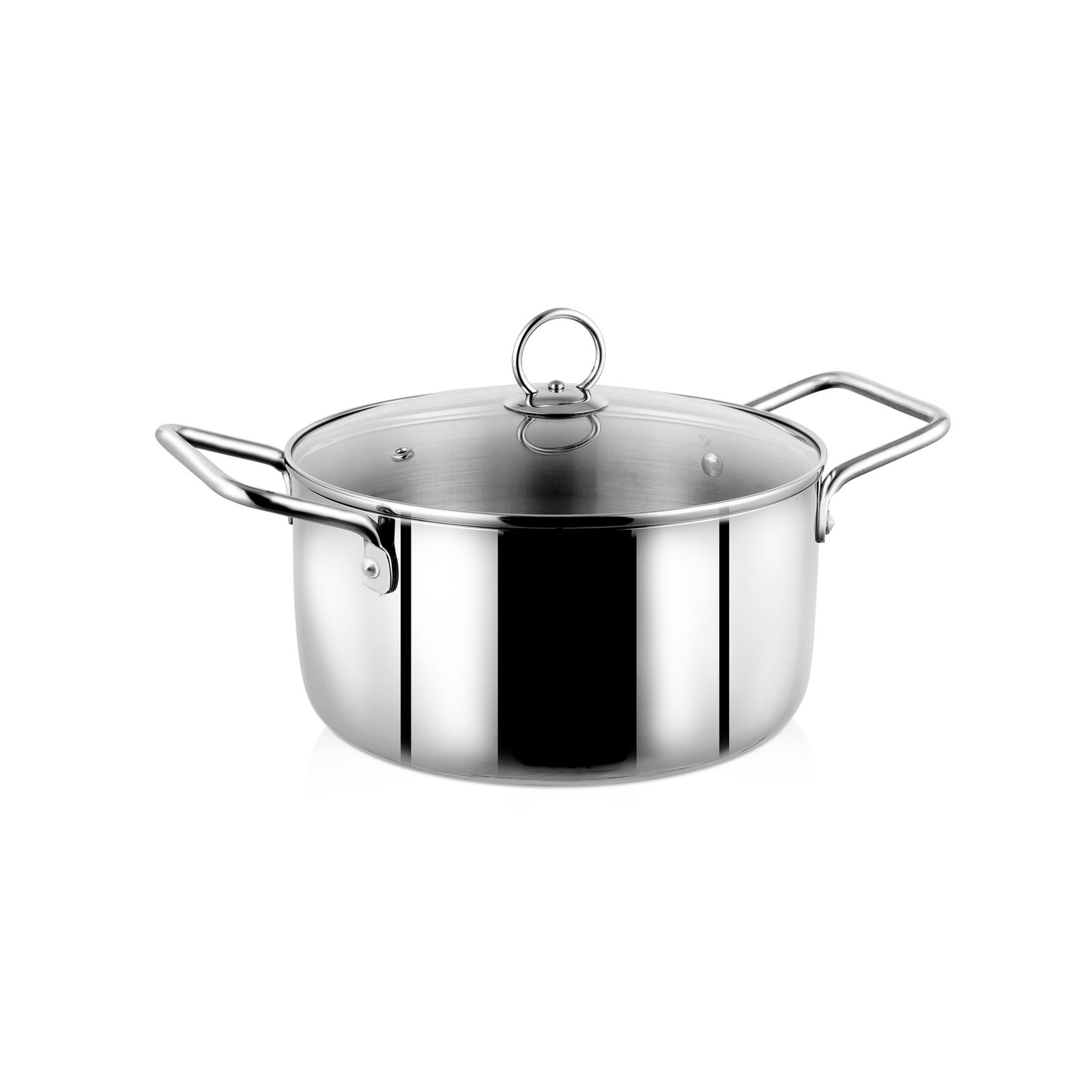 Buy Blueberry’s Premium Heavy Stainless Steel 22cm Stock Pot Cooking ...