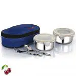 Blueberry's Diamond 2 Set Stainless Steel Lunch Box Food Pack