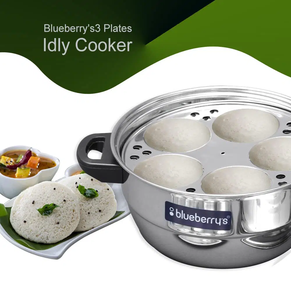 Buy Blueberry's 30 cm Stainless Steel Steamer Pasta, Vegetable, Momo, Idli  Idly Maker Cooker Online at Best Price – Blueberrys – blueberry's